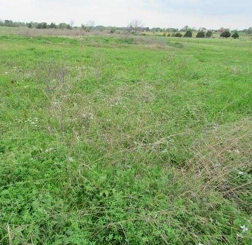 2 Acres of Residential Land for Sale in Tennessee Colony, Texas