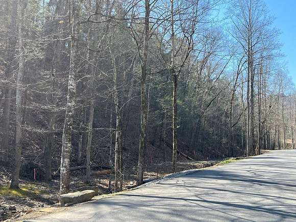 Residential Land for Sale in Pigeon Forge, Tennessee