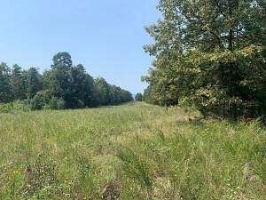 34 Acres of Land for Sale in Delaware, Arkansas