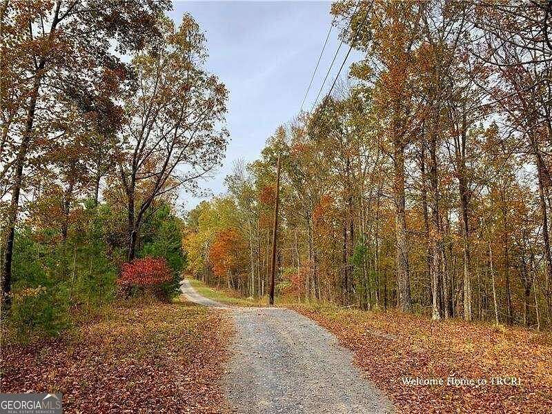 1.47 Acres of Residential Land for Sale in Ranger, Georgia