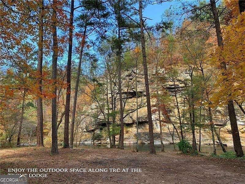 1.47 Acres of Residential Land for Sale in Ranger, Georgia