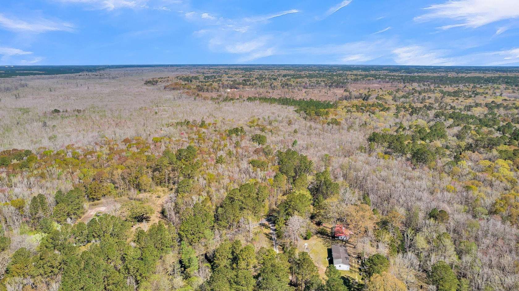20 Acres of Land for Sale in Summerville, South Carolina