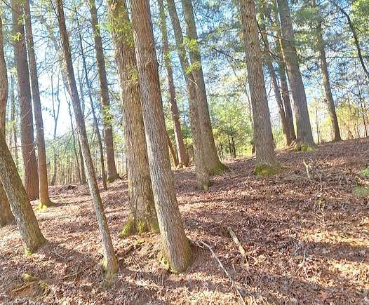 1.72 Acres of Land for Sale in Suches, Georgia