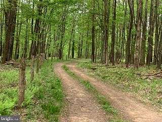 44.3 Acres of Recreational Land & Farm for Sale in Mount Storm, West Virginia
