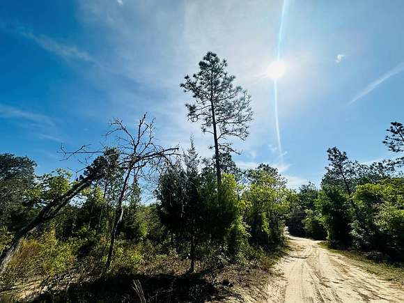 0.52 Acres of Land for Sale in Williston, Florida