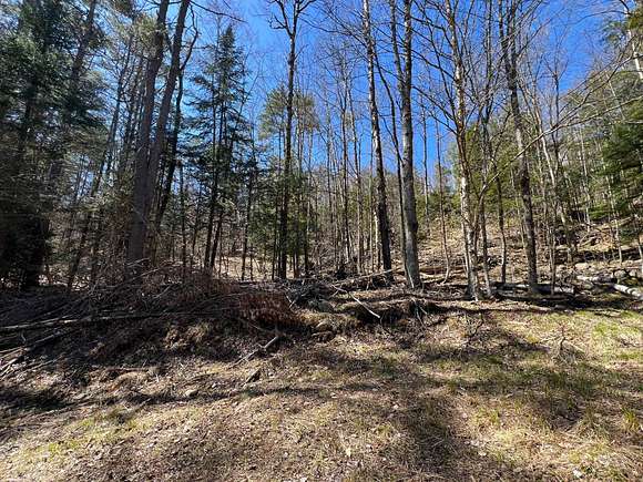 1.1 Acres of Residential Land for Sale in Adirondack, New York