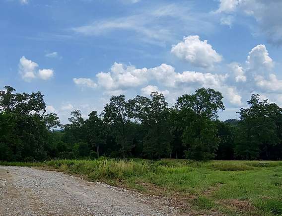40.4 Acres of Land for Sale in Waynesville, Missouri