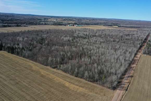 Parcels 1 & 2 (10 and 40 acres respectively). Looking Northwest. Wooded lots with trails.