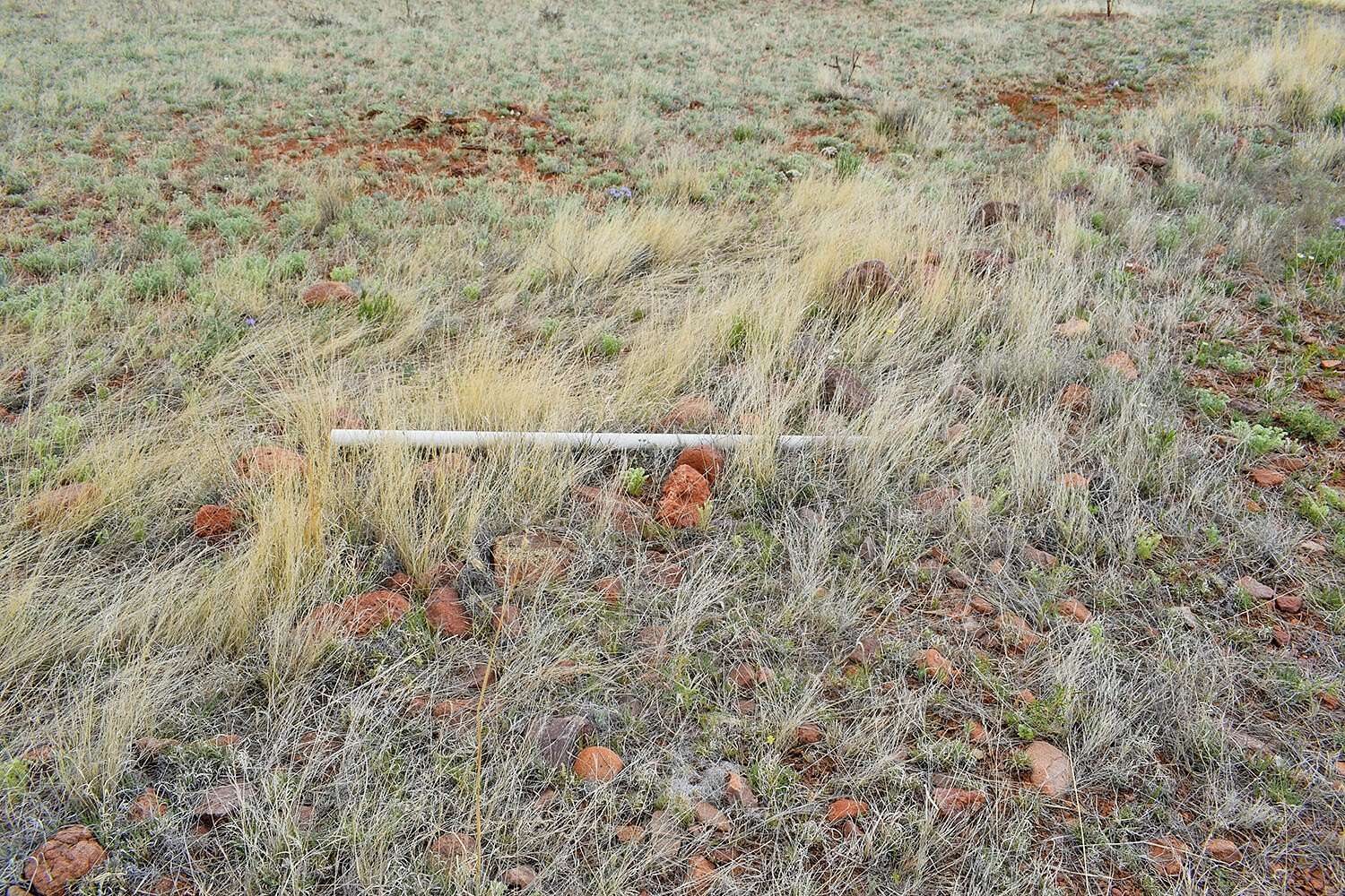 20.5 Acres of Land for Sale in San Antonio, New Mexico