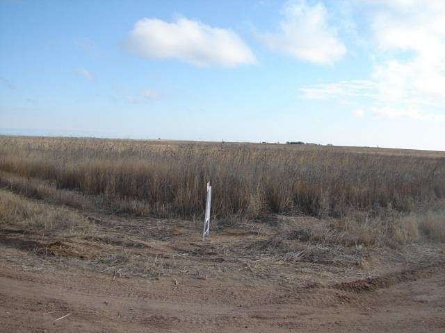 158 Acres of Agricultural Land for Sale in Richfield, Kansas