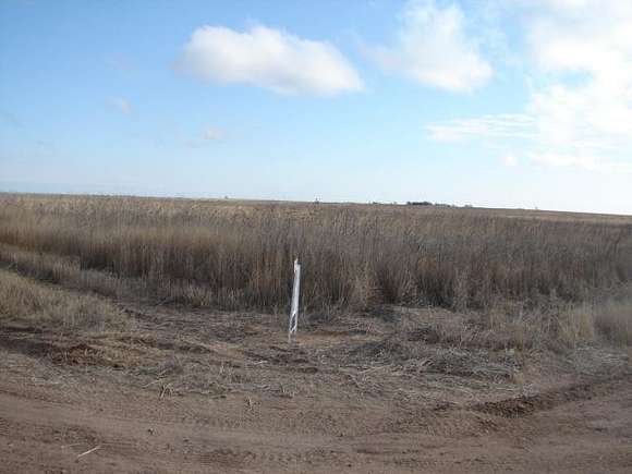 158 Acres of Recreational Land & Farm for Sale in Richfield, Kansas