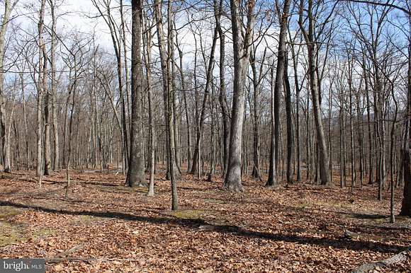 6.1 Acres of Residential Land for Sale in Great Cacapon, West Virginia