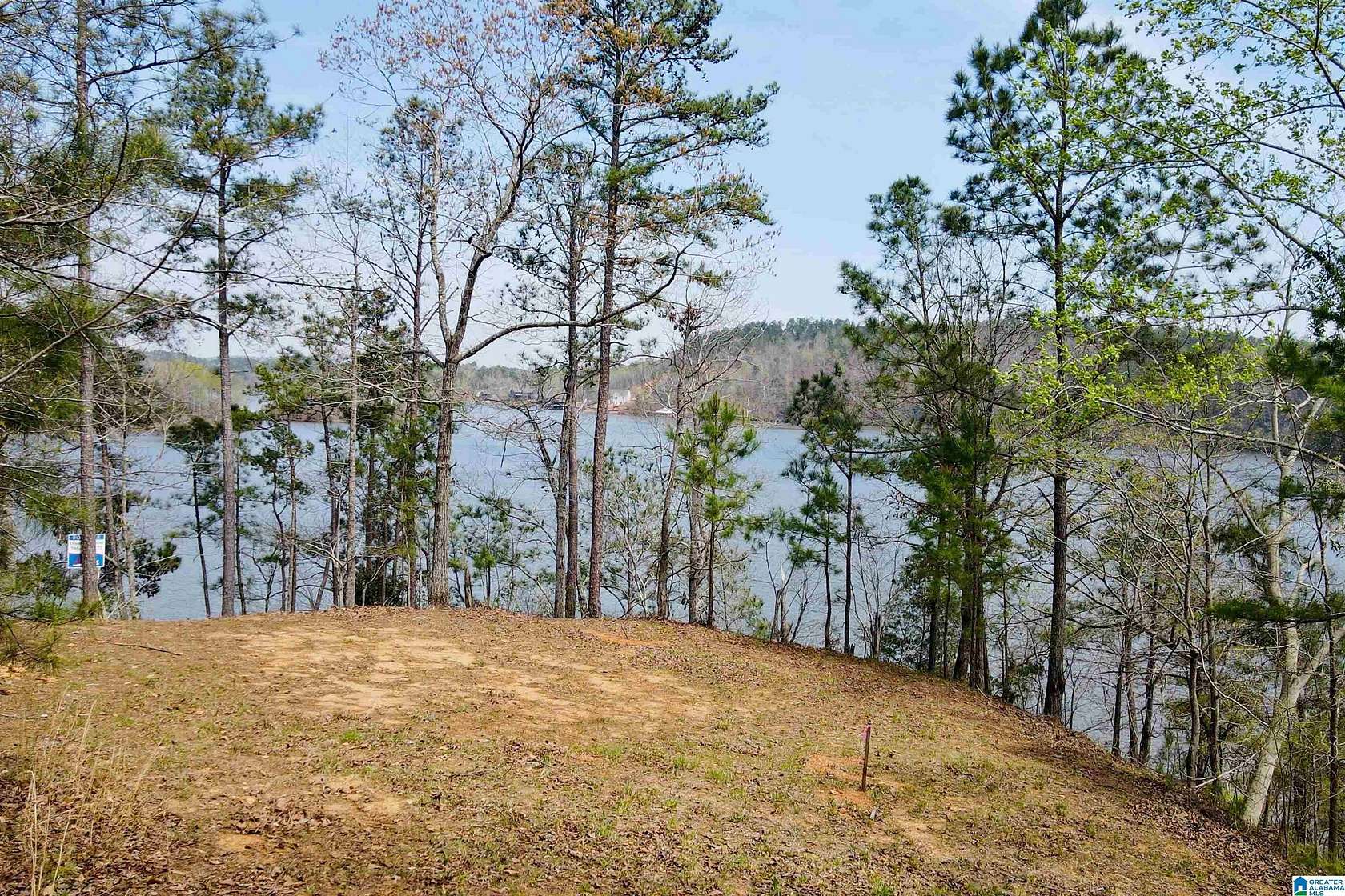 1 Acre of Residential Land for Sale in Rockford, Alabama