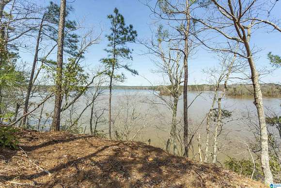 1 Acre of Residential Land for Sale in Rockford, Alabama