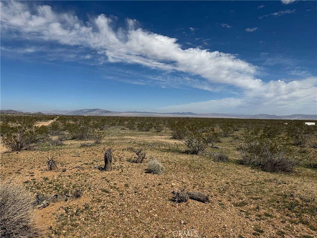 20 Acres of Land for Sale in Joshua Tree, California