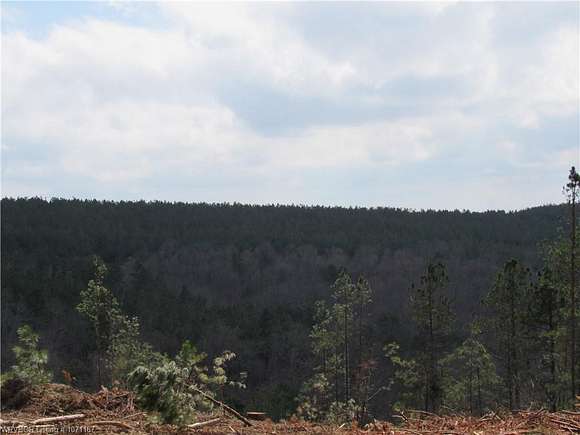 42 Acres of Recreational Land for Sale in Honobia, Oklahoma