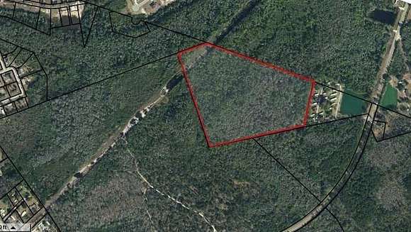 54.4 Acres of Agricultural Land for Sale in Hinesville, Georgia