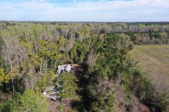 16.8 Acres of Land for Sale in Greensboro, Florida