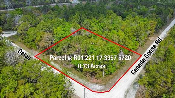 0.73 Acres of Residential Land for Sale in Weeki Wachee, Florida