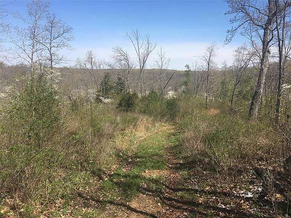 25.5 Acres of Recreational Land for Sale in Richwoods Township, Missouri