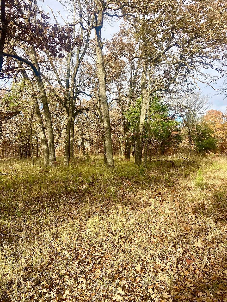 26.3 Acres of Land for Sale in Atoka, Oklahoma