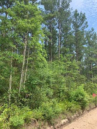 1.1 Acres of Residential Land for Sale in Baxley, Georgia