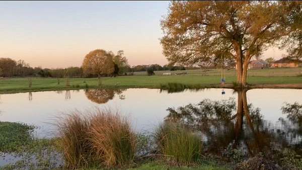 8 Acres of Land with Home for Sale in Canton, Texas