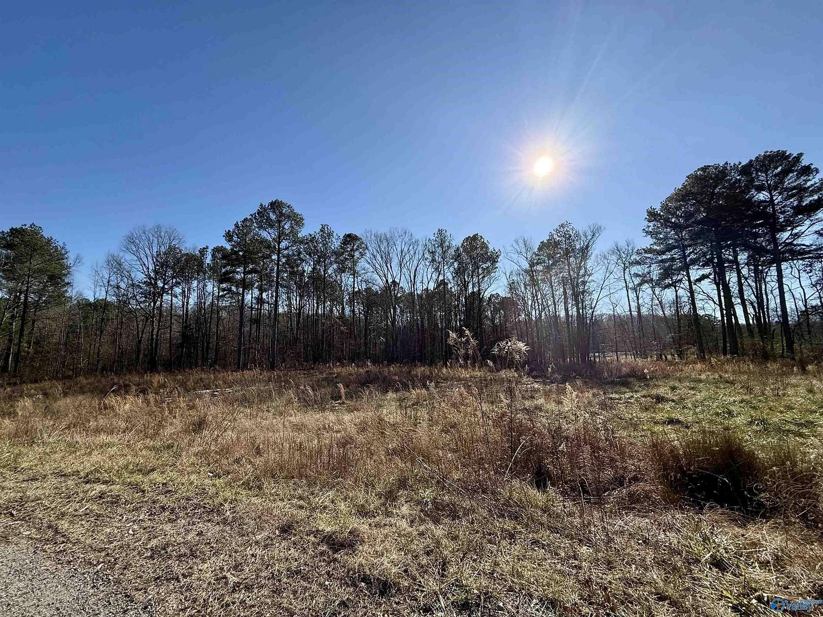 0.41 Acres of Residential Land for Sale in Arab, Alabama