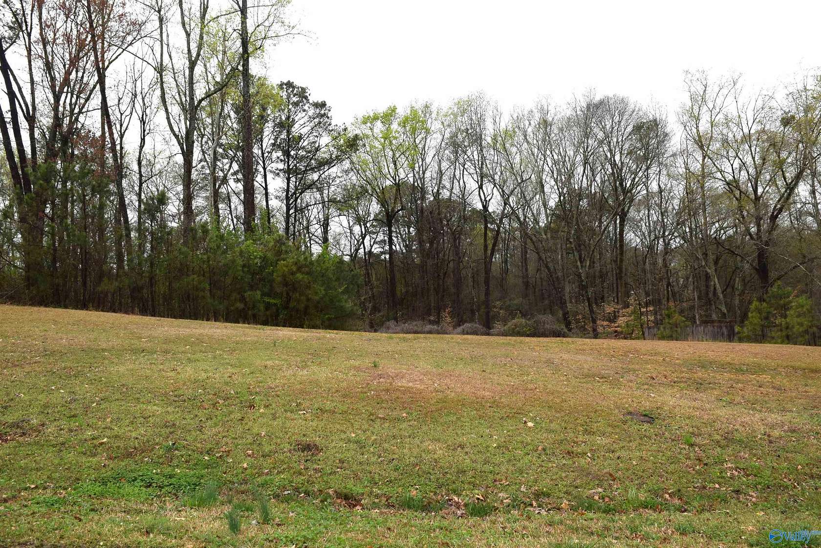 Residential Land for Sale in Southside, Alabama