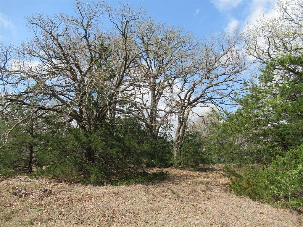 20 Acres of Land for Sale in Lone Oak, Texas
