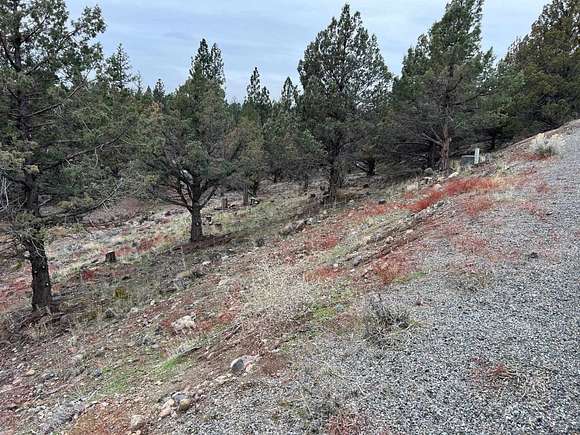 0.24 Acres of Residential Land for Sale in Weed, California