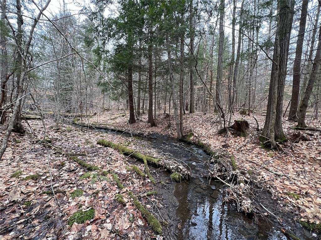 25 Acres of Recreational Land for Sale in Laurens, New York