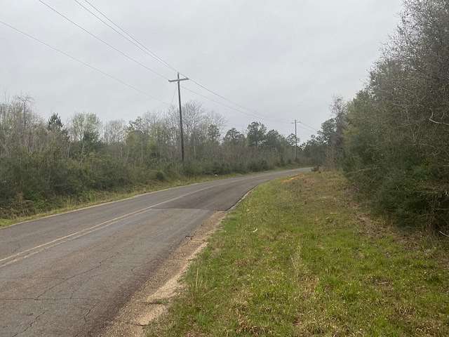 22.2 Acres of Recreational Land for Sale in McComb, Mississippi