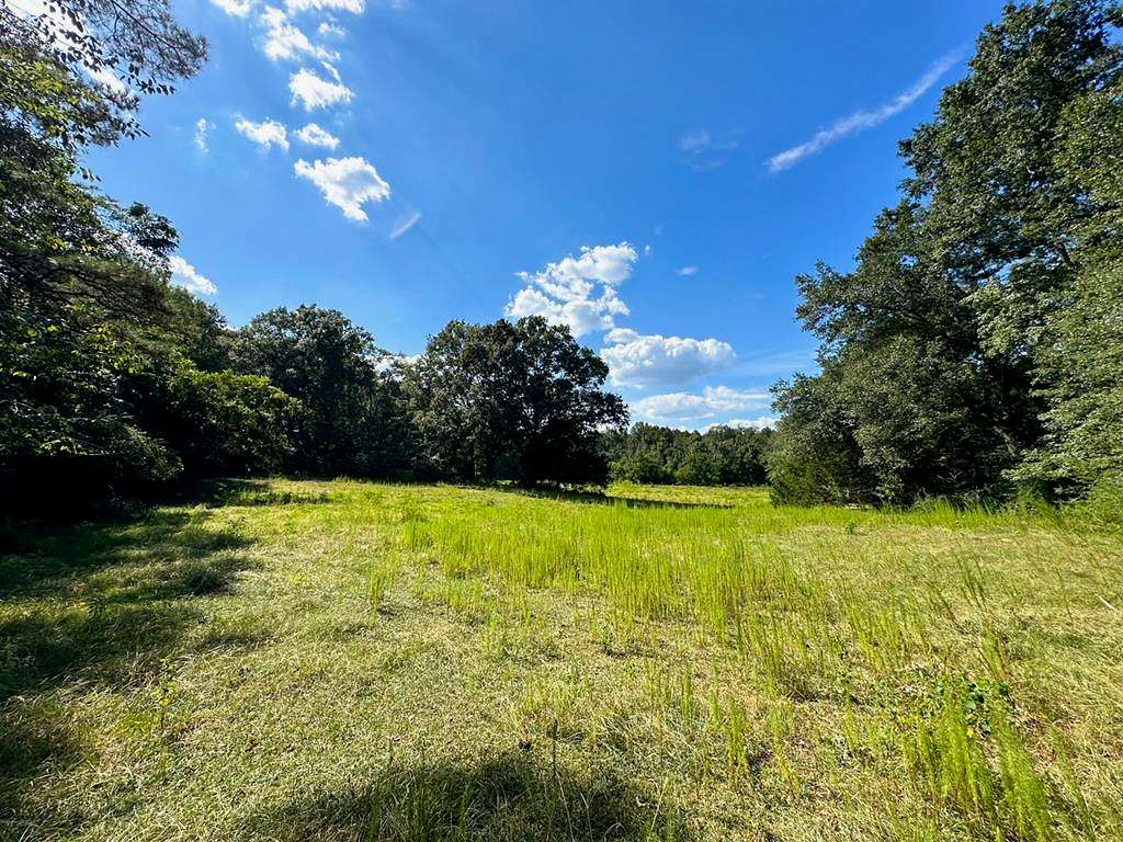 10.5 Acres of Land for Sale in Summit, Mississippi