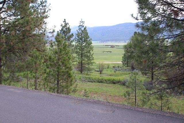 1.1 Acres of Residential Land for Sale in New Meadows, Idaho