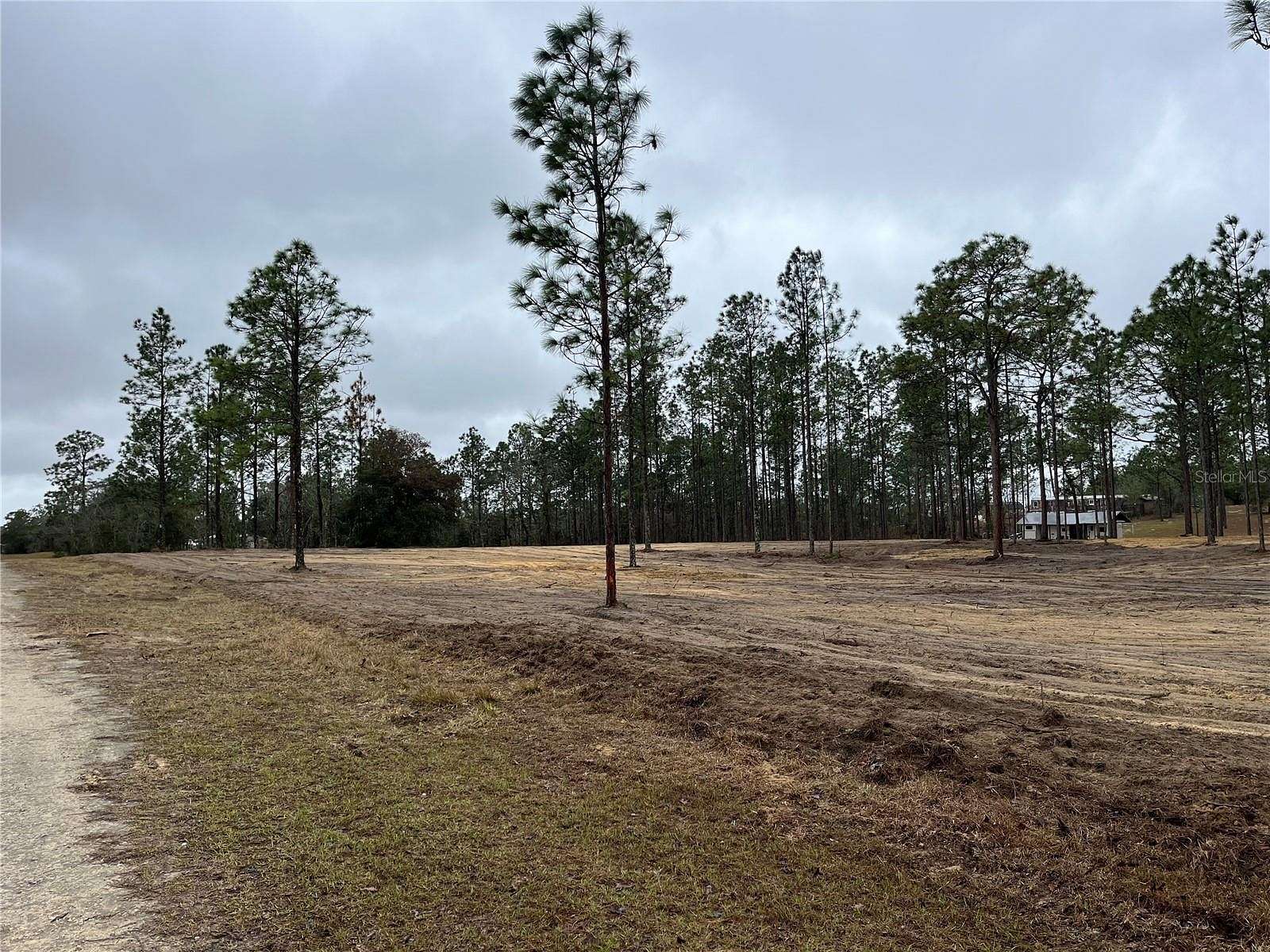 2.5 Acres of Land for Sale in Morriston, Florida