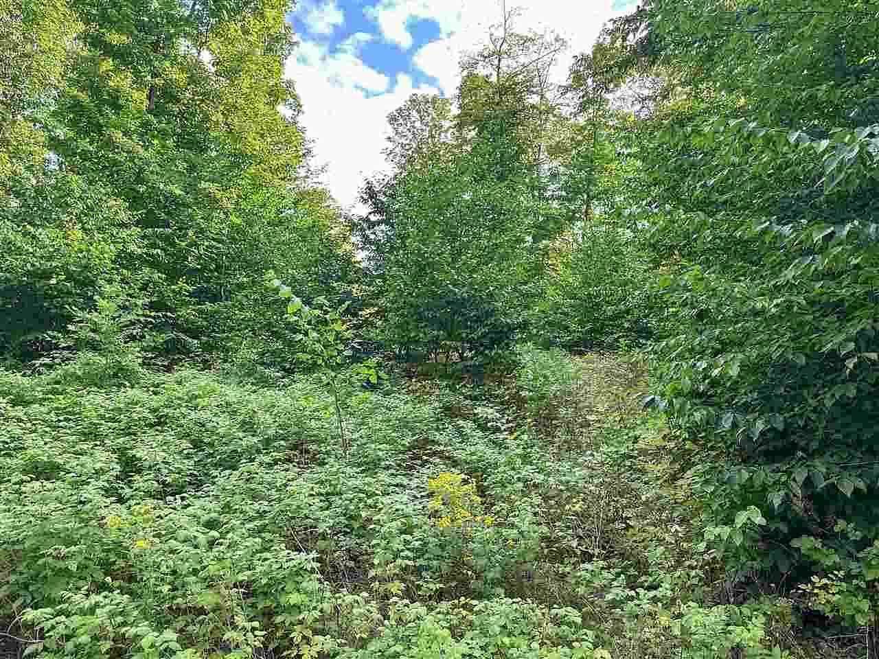 1.5 Acres of Residential Land for Sale in Boyne City, Michigan