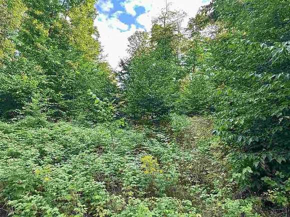 1.5 Acres of Residential Land for Sale in Boyne City, Michigan