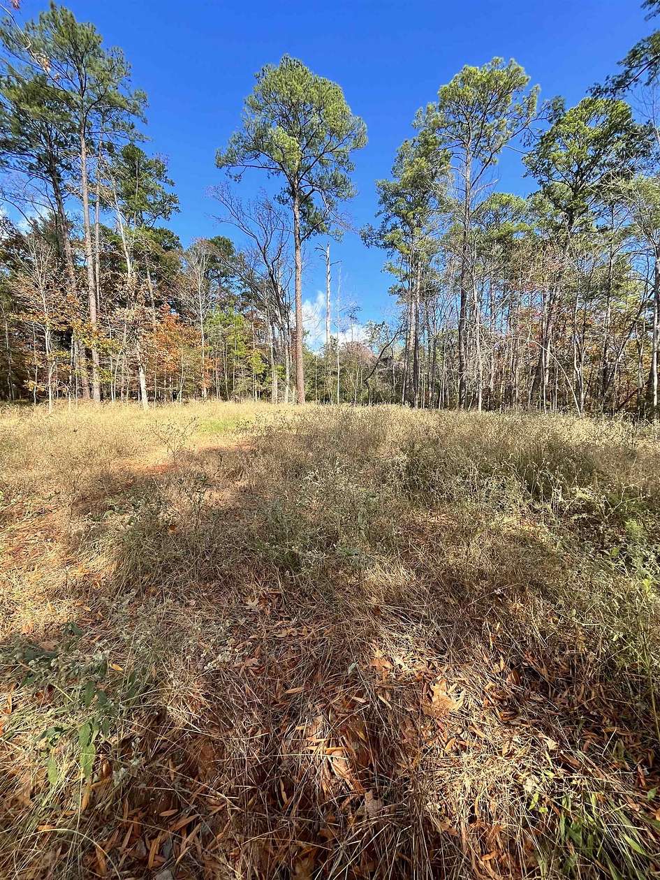 0.67 Acres of Residential Land for Sale in Brookeland, Texas