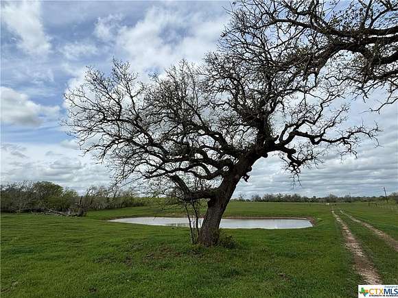42.3 Acres of Improved Recreational Land & Farm for Sale in Gonzales, Texas