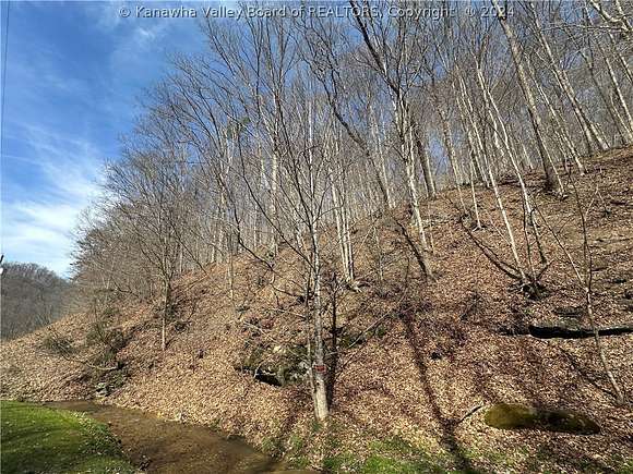 14.9 Acres of Recreational Land for Sale in Danville, West Virginia