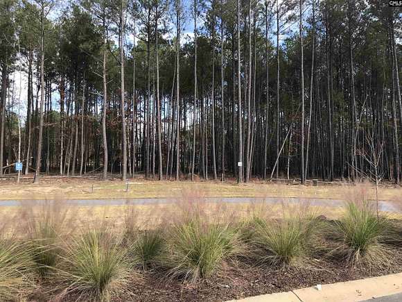 0.25 Acres of Residential Land for Sale in Prosperity, South Carolina