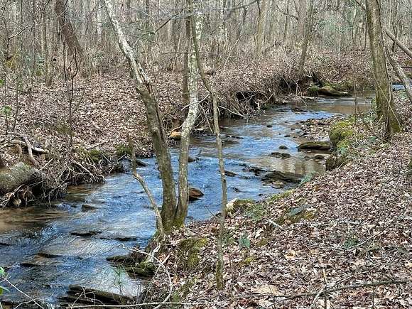 20 Acres of Recreational Land for Sale in Ellijay, Georgia