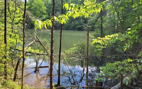 0.72 Acres of Land for Sale in Ellijay, Georgia