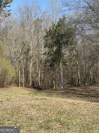 20 Acres of Land for Sale in Talmo, Georgia
