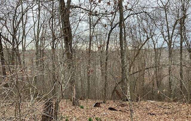 2.3 Acres of Residential Land with Home for Sale in Ozone, Arkansas