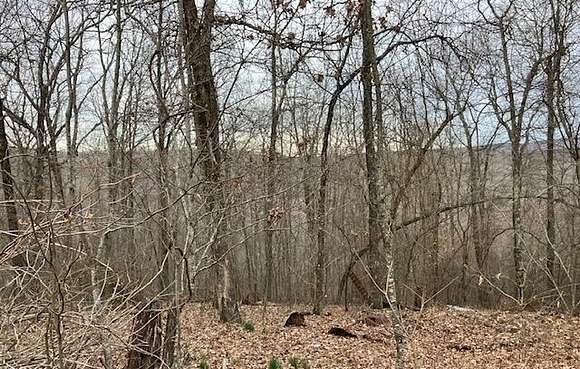 2.3 Acres of Residential Land with Home for Sale in Ozone, Arkansas