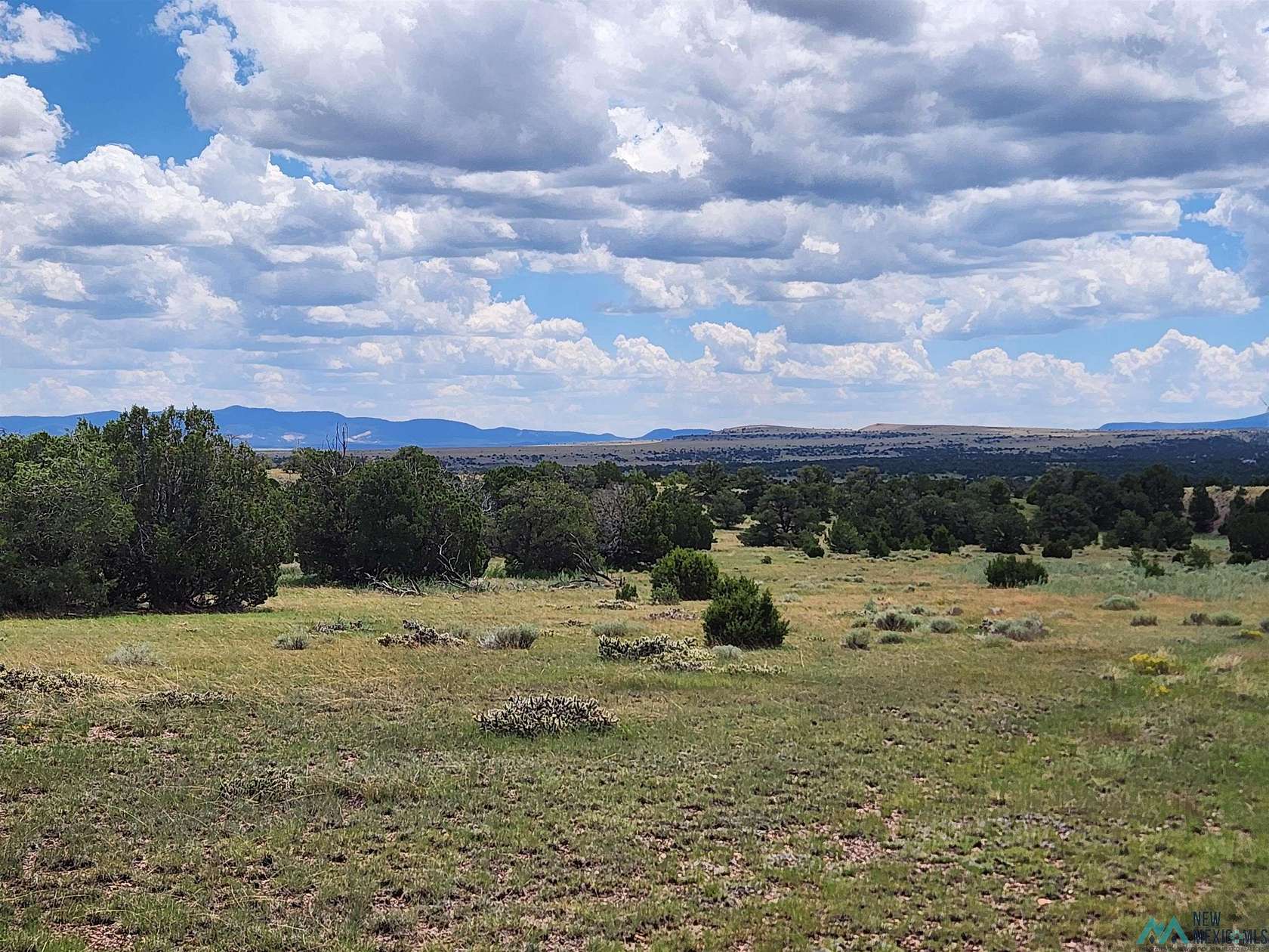 10.28 Acres of Recreational Land for Sale in Quemado, New Mexico