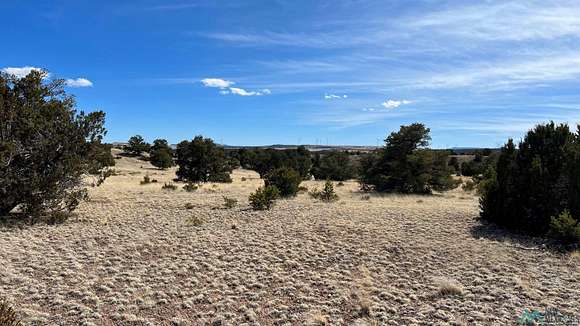 10.3 Acres of Recreational Land for Sale in Quemado, New Mexico