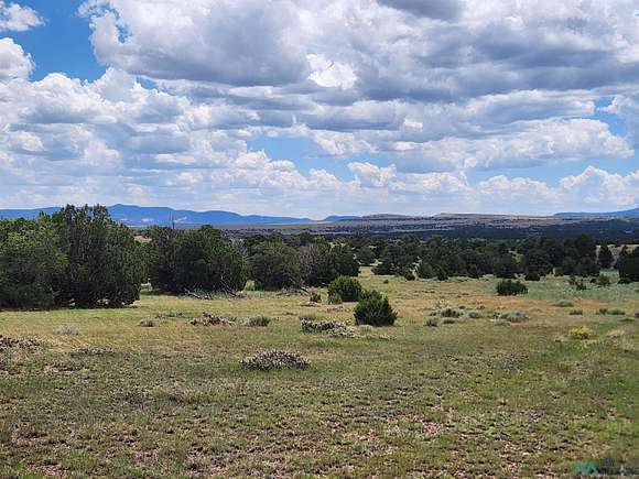 10.28 Acres of Recreational Land for Sale in Quemado, New Mexico